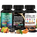 Shilajit,Mousse de Mer, Huile de Graine Noire, Supplément de Champignons & Herbes avec Lions Mane, Turkey Tail, Reishi, Cordyceps, Chaga, Ashwagandha, Ginger, Rhodiola Rosea & Panax Ginseng, Tous en un seul supplément.