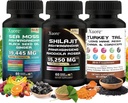 Shilajit,Mousse de Mer, Huile de Graine Noire, Supplément de Champignons & Herbes avec Lions Mane, Turkey Tail, Reishi, Cordyceps, Chaga, Ashwagandha, Ginger, Rhodiola Rosea & Panax Ginseng, Tous en un seul supplément.