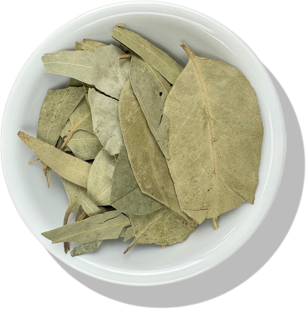 Herbes persistantes Eucalipto Eucalyptus Feuilles Herb 4 oz. eucalyptus, gomme ruban, gomme brillant - Resealable Stand Up Pouch pour assurer la fraîcheur!