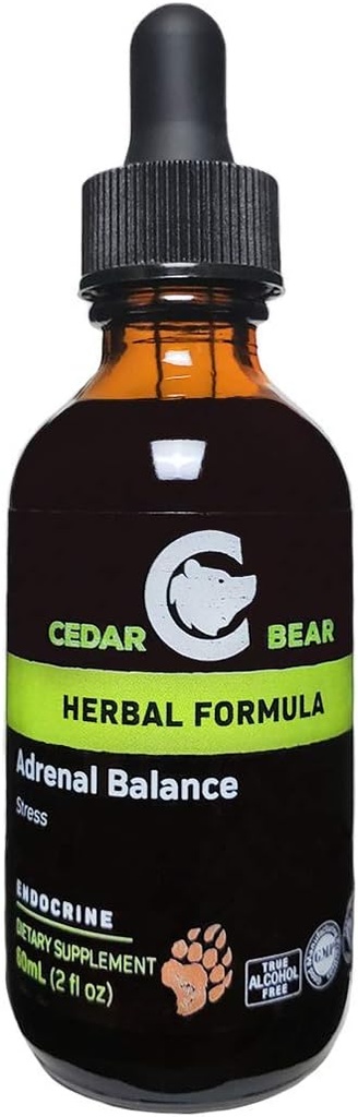 Balance adrénale de l'ours cèdre - supplément à base de plantes liquides avec des adaptogènes qui luttent contre la fatigue, gèrent le stress et augmentent l'énergie 2 fl oz / 60 ml (1 unité)