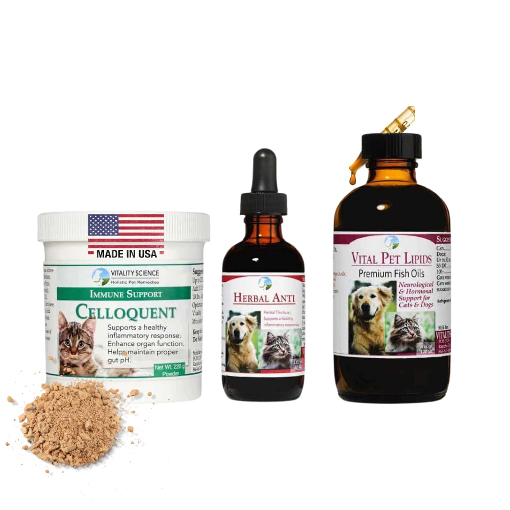 Vitalité Science Suppléments avancés de restauration immunitaire pour les chats , Protocole de régénération intense , aide à soulager la douleur (petit)