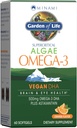 Garden of Life Minami Algae Omega 3 Vegan DHA for Brain and Eye Health - Orange Flavor, 500mg Plant Based DHA Omega-3 Vegan Algae Oil Plus Astaxanthin, No Aftertaste, 60 Easy-to-Swallow Mini Softgels