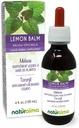 Naturalma Lemon Baume (Melissa officinalis) Teinture sans alcool - 4 fl oz Extrait liquide dans les gouttes - Supplément à base de plantes - Vegan