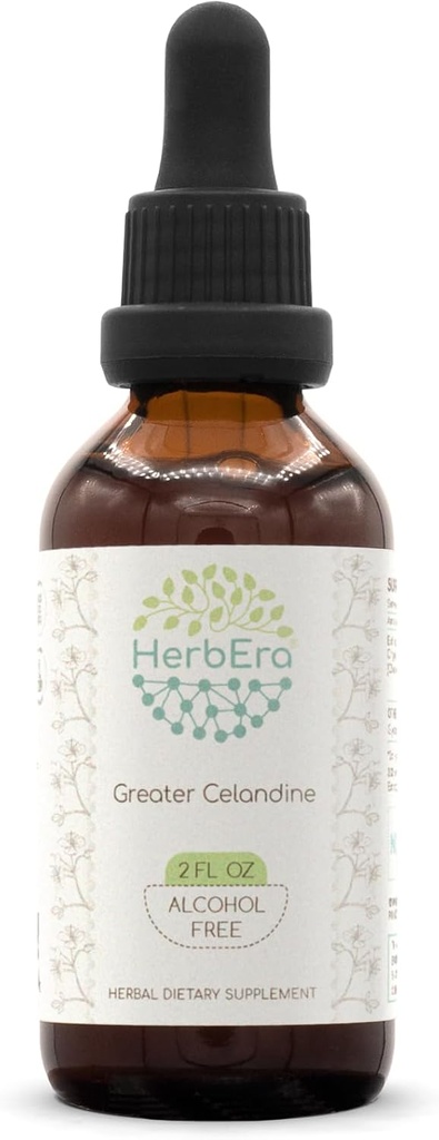 HerbEra Greater Celandine B60 Teinture d'extraits de plantes sans alcool, gouttes concentrées de liquides La plante séchée (2 oz)