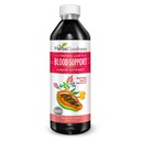 Papaya Leaf Soutien sanguin liquide - 15X Force - Extrait de Papaya Leaf - Plaquettes saines, nettoyage du sang, digestion, Papaya Enzyme -12oz Liquide - Bonté à base de plantes (1 bttl)