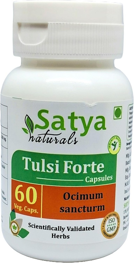 Tulsi Forte Capsules 500 mg. 60 Gél. Capsules de basilic (Ocimum Sanctum) Extrait Capsules pour hommes et femmes.
