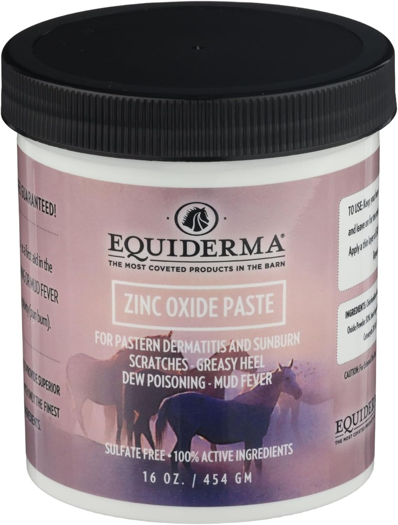 Equiderma Zinc Pâte à oxyde pour chevaux, 16 oz de traitement pour la dermatite des pasternes, les éraflures et les coups de soleil