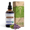 Secrets de la Tribe Bugleweed Teinture Extrait liquide sans alcool, USDA Bio Bugleweed (Lycopus Virginicus) Herbe séchée (4 FL OZ)