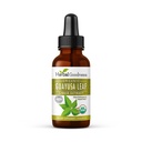 Guayusa Leaf Extract Cerveau Focus - Boissons naturelles de caféine Stamina Supplément énergétique, café Alternative, anti-stress - Bio Kosher 1oz Bouteille - Bonté à base de plantes
