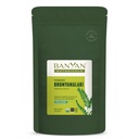 Banyan Botanicals Poudre de Bhumyamalaki – Supplément bio pour la santé du foie* – Phyllanthus spp. – pour la désintoxication naturelle et le nettoyage du foie* – 1/2 livre – Vegan non issu d'OGM