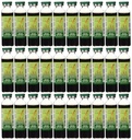 Prince de la Paix Panax Rouge Ginseng Extrant Ultra Streng 30 flacon(s)