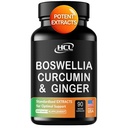 Boswellia Curcumin Supplément d'extraits de gingembre – Fort 95% Curcuminoides pilules de soutien naturel pour la mobilité et la flexibilité – Boswelia de force supplémentaire avec supplément de gingembre biologique curcumin curcumin