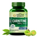 Himalayan Organics L-Carnitine L-Tartrate avec extrait de thé vert 2000 Mg. Gestion du poids sain.