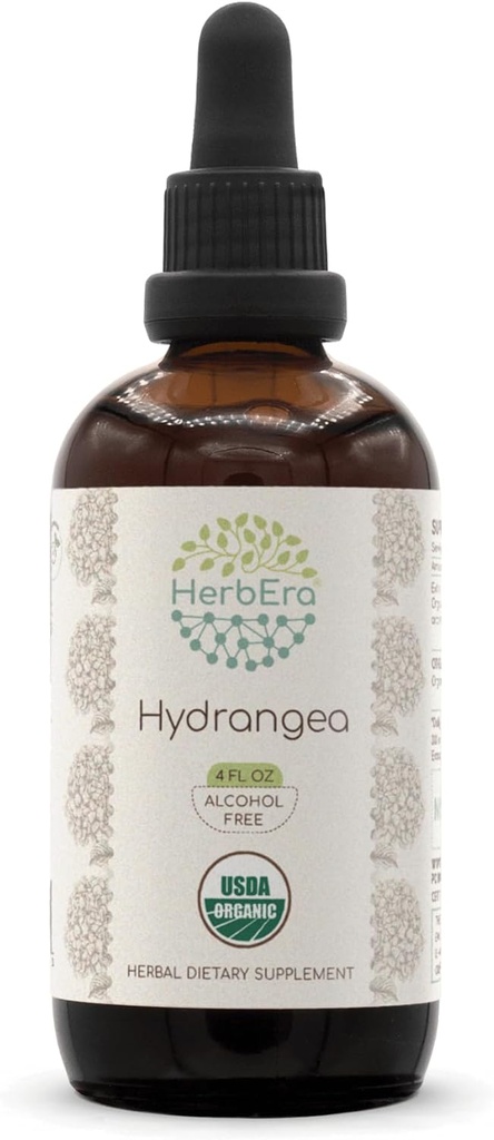 HerbEra Hydrangea B120 USDA Organic Tincture | Alcohol-Free Extract, High-Potency Herbal Drops | Certified Organic Hydrangea (Hydrangea arborescens) Dried Root (4 oz)