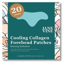 Patches à rides avant - Patches anti-rides - Hydratation du collagène de refroidissement - Traitement des rides - Patches à colles avant avec Centella Asiatica, vitamine E et acide hyaluronique - 20 Pcs