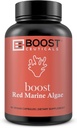 BoostCeuticals Red Marine Algae Gigartina 90 Capsules Vegan Pas de stéarates, Pas de soutien immunitaire Silica, Source non-OGM, Minéral et Calcium – 3 mois d'approvisionnement