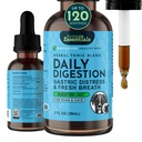 Essentiels animaux Digestion quotidienne pour chiens et chats - Soutien digestif, respiration fraîche, racine de gingembre, extrait de graines de fenouil, supplément liquide - 2 Fl Oz