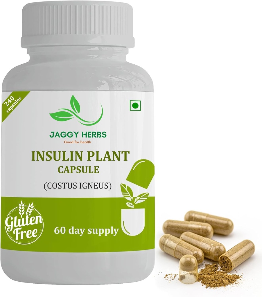Capsules de plantes d'insuline Premium JAGGY générique (Costus Igneus) Supplément naturel 240 Capsules de légumes (60 jours d'approvisionnement)