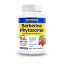 Enzymedica, Phytosome berbérique, 9.6X Meilleure biodisponibilité, supplément alimentaire végétalien naturel de haute puissance pour le soutien métabolique, 60 capsules