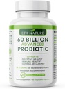 Probiotiques avancés pour les hommes - Probiotiques pour la santé digestive, le soutien Gut et l'immunité