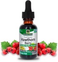 Réponse de la nature Les baies d'épines arbustives (Hawthorn Berries) favorisent une fonction de circulation saine (Hawthorn Berries) aide à maintenir des niveaux de cholestérol sains (Hawthorn Berries) sans gluten, sans alcool, certifié Kosher et aucun conservateur 1oz