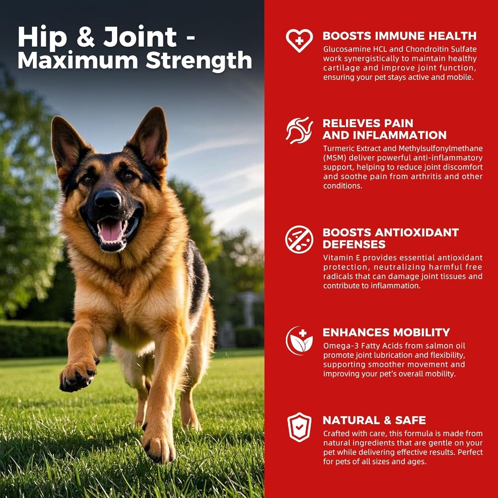 Hip et supplément articulaire pour chien - Relief de douleur pour chien anti-inflammatoire avec la glucosamine, la chondroïtine, le MSM, le curcuma, la vitamine E, l'oméga 3 - traite la dysplasie de la hanche, l'arthrite - toutes les grandes petites races moyennes
