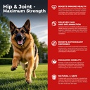 Hip et supplément articulaire pour chien - Relief de douleur pour chien anti-inflammatoire avec la glucosamine, la chondroïtine, le MSM, le curcuma, la vitamine E, l'oméga 3 - traite la dysplasie de la hanche, l'arthrite - toutes les grandes petites races moyennes