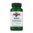 Vitanica Ginkgo - Supplément Santé du cerveau - soutient le flux sanguin et la circulation chez les femmes et les hommes - Supplément à base de plantes qui utilise l'extrait et la feuille de Ginkgo - Lady - 90 Capsules