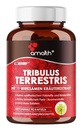 Amalth Tribulus Terrsestris, 20:1 Extrait par service, puissance maximale avec Ashwagandha, Saw Palmetto, Shilajit 120 Capsules