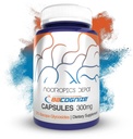BaCognize Bacopa Monnieri Capsules (300mg) 240 Count ( 240) Ayurvedic Herb (Nootropic Brain Booster) prend en charge la gestion du stress (Mémorise, Cognition + Mood)
