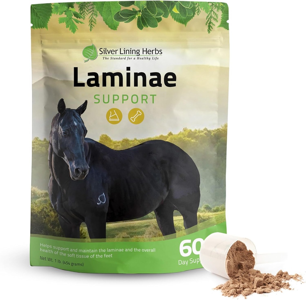 Herbes argentées Laminae Support Horse Supplements Laminitis & Founder Support for Horse - Soutien à la mobilité, aux pieds endoloris, aux tissus mous et aux meilleurs manteaux - Herbal Hoof Complements for Horses - 1 LB