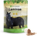 Herbes argentées Laminae Support Horse Supplements Laminitis & Founder Support for Horse - Soutien à la mobilité, aux pieds endoloris, aux tissus mous et aux meilleurs manteaux - Herbal Hoof Complements for Horses - 1 LB