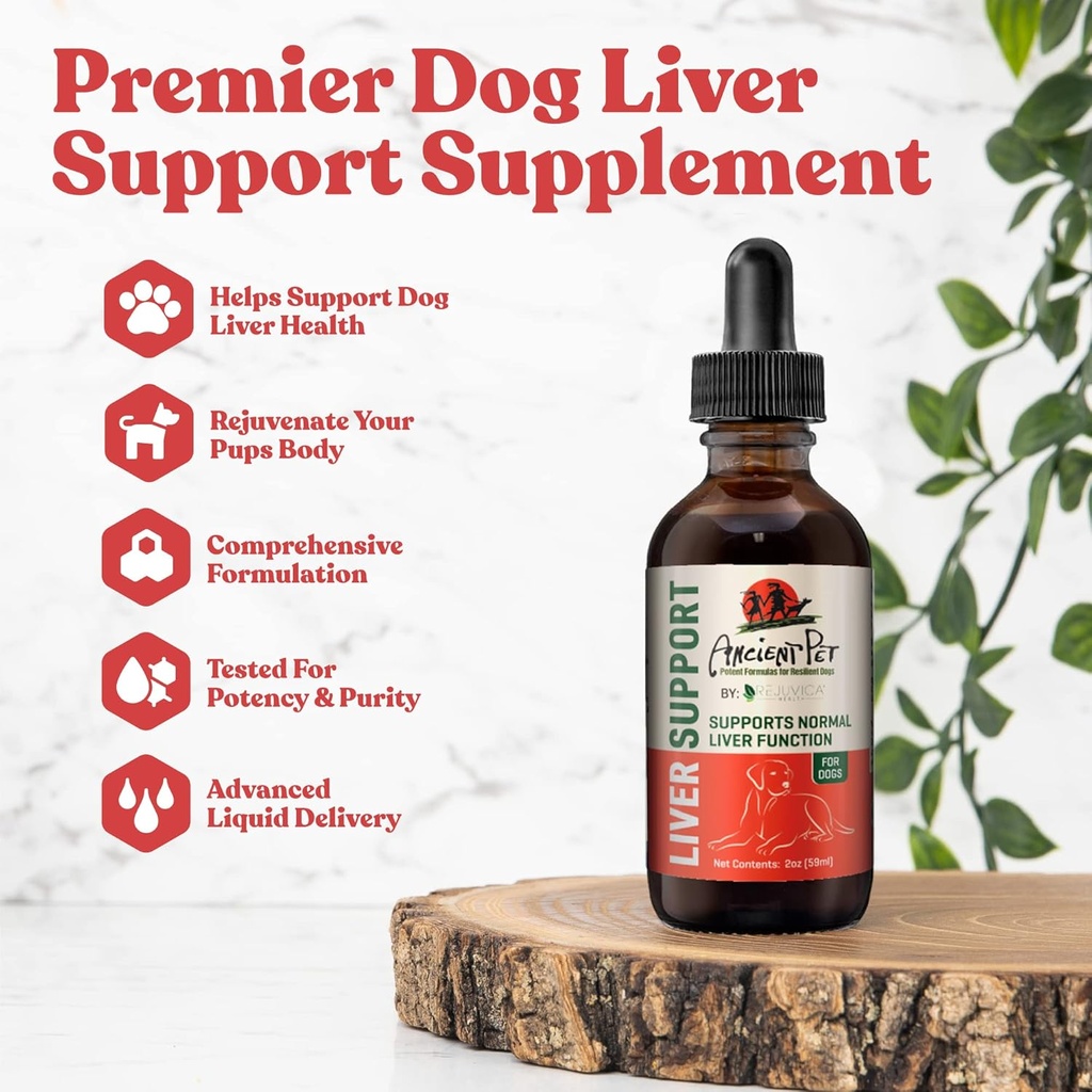 Vieil animal ancien - Supplément de soutien du foie avancé pour les chiens - Livraison liquide pour une meilleure absorption - Thistle de lait, Dandelion, Artichaut et plus!