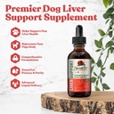 Vieil animal ancien - Supplément de soutien du foie avancé pour les chiens - Livraison liquide pour une meilleure absorption - Thistle de lait, Dandelion, Artichaut et plus!