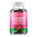Mousse de mer 4000mg Gummies avec Ashwagandha, Elderberry, vinaigre de cidre de pomme, Bladderwrack, racine de Burdock – soutien immunitaire – mélange de baies parfumée – 60 comte