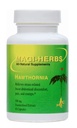 Hawthornia (Early Hernia Remedy) - 60 gélules