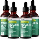 5-in-1 Mullein Drops for Lungs and Bronchial - Respiratory Lung Health Support with Mullen Leaf Extract for Lungs - Mullein Tincture with Elderberry, Echinacea and Ginger Root (120 Servings) (4-pack)