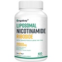 Orgabay Liposomal Nicotinamide Riboside 2000 MG avec TMG et Pterostilbène, Boosting NAD+, Soutien Vieillissement en santé, 60 Compte