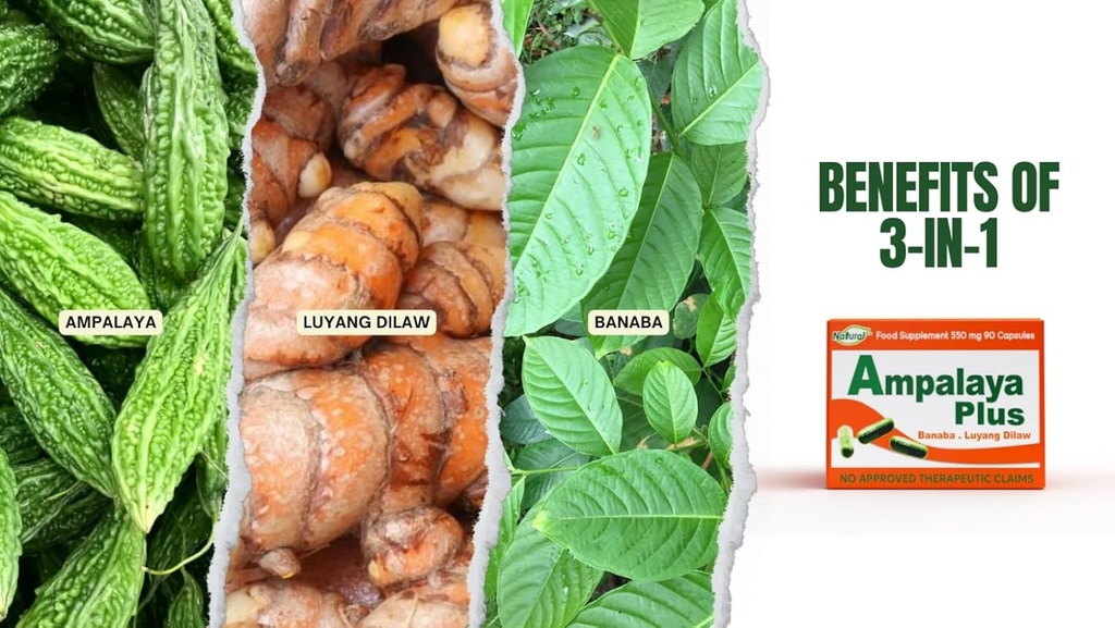 WUMONIAmpalaya Plus 550mg 90 Capsules with Banaba, Turmeric Ginger and Bitter Melon by Ampalaya Plus