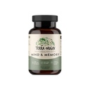 ORIGINAL DE TERRA Supplément de soutien à l'esprit et à la mémoire sains (Matrice de mémoire cognitive) CDP, Bacopa, L-Tyrosine, Huperzine A, Ginko, B12.
