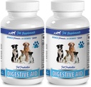 probiotiques pour animaux de compagnie - AIDE Digestive pour chiens - PROBIOTIQUES - Formule puissante - lactobacillus salivarius probiotique - 2 bouteilles (120 Chews)