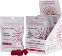 Speed Labs Caféine Energy Gummies Black Raspberry Natural, 25mg Caféine, Taurine, B-Vitamines par pièce, 32 pièces (8 paquets) Vegan, sans gluten, 1g Sucre ajouté