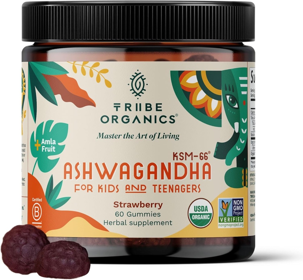 Ashwagandha KSM-66 Gummies for Kids & Teens - Extrait de racine biologique pure Supplément ayurvédique Gummy - Focus Mood Support Augmenter la force énergétique 600mg de KSM66 naturel pour l'absorption supérieure
