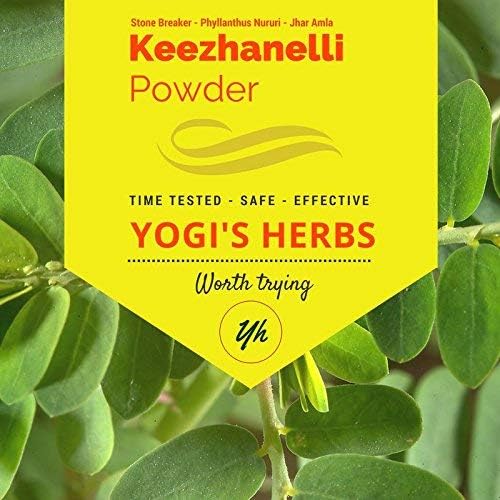 YOGIS HERBS Keezhanelli Powder (Phyllanthus Niruri)