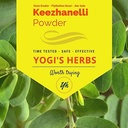 YOGIS HERBS Keezhanelli Powder (Phyllanthus Niruri) | Chanca Piedra Stone Breaker – Liver, Kidney & Gallbladder Support– Fresh & Pure Herbal Supplement (8 oz)
