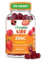 Gommies de zinc vivaces pour les enfants de 15mg de Grande Dégustation Enfants Suppléments de zinc GMO Vitamines de zinc végétariennes gratuites pour une peau saine et un soutien immunitaire pour les enfants et les enfants de 90 Gommies