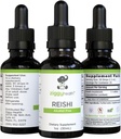 Extrait de champignons Reishi - Teinture liquide - Supplément pour la défense immunitaire et le soutien du cerveau, soutenir la fonction hépatique saine, le booster d'énergie et mieux dormir, 1oz par Ziggy Health