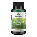 Swanson Spearmint Leaf (Mentha Spicata) - Supplément à base de plantes à spectre complet appuyant les questions de santé digestive et d'estomac léger - Formule naturelle appuyant la santé et le mieux-être - (60 capsules, 400mg chacune)