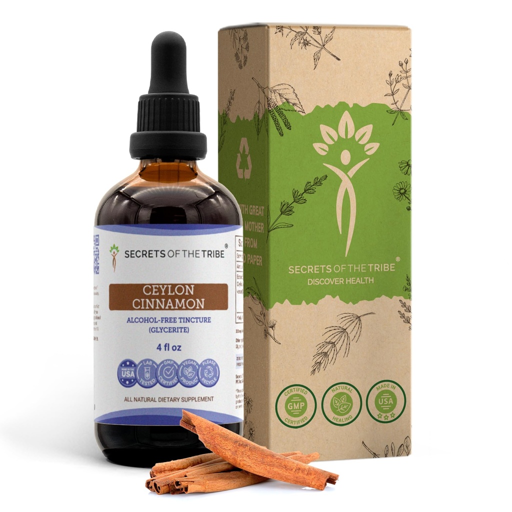 Secrets du Tribe Ceylan Teinture de cannelle Extrait liquide sans alcool, Ceylan Cinnamon (Cinnamomum Verum) Barque séchée (4 FL OZ)