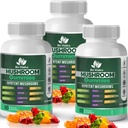 Gummies de champignons – 10 Complexe de champignons avec Mane de Lion, Reishi, Chaga, Cordyceps & More – Gummes végétaliens fruités – Non-OGM, sans gluten, à base végétale – 3 paquets